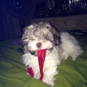 Meet your Posher, Erica